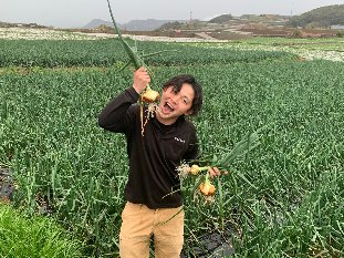 グリーンコープ 産直市場 / 【送料無料】産直南島原の無農薬栽培玉ねぎ